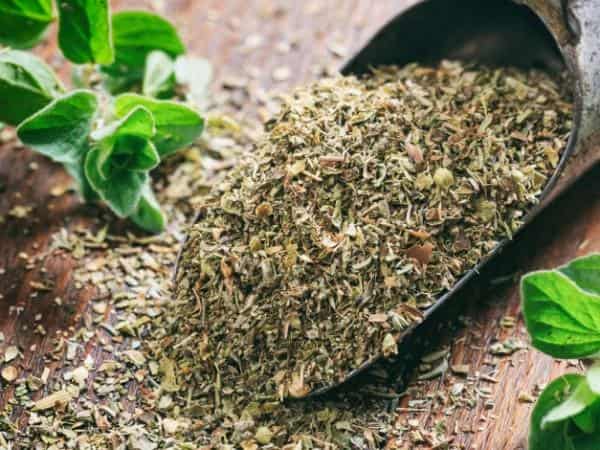قیمت خرید سبزی خشک آماده + فروش ویژه